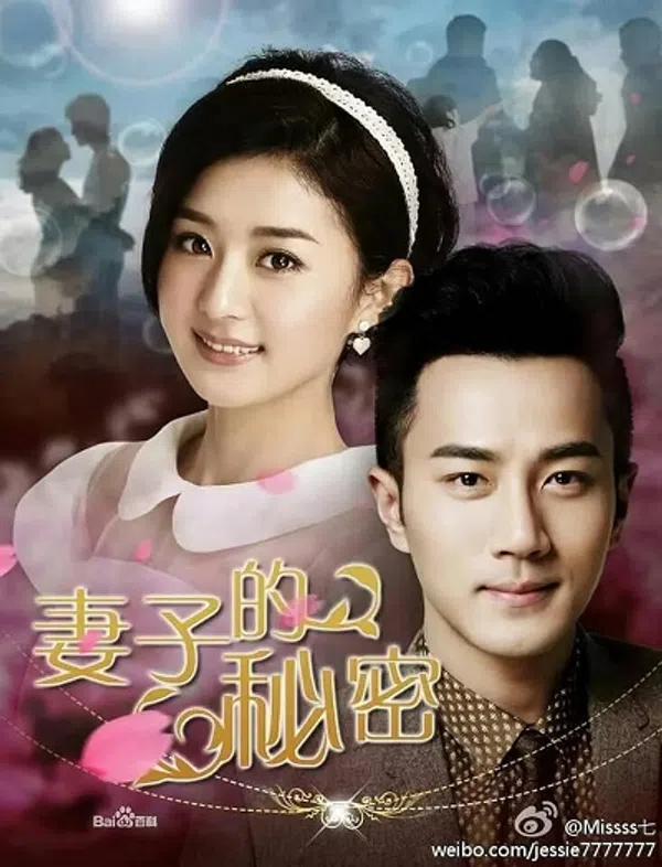 Poster phim Bí Mật Của Người Vợ (2014) trên Xem Phim Fun